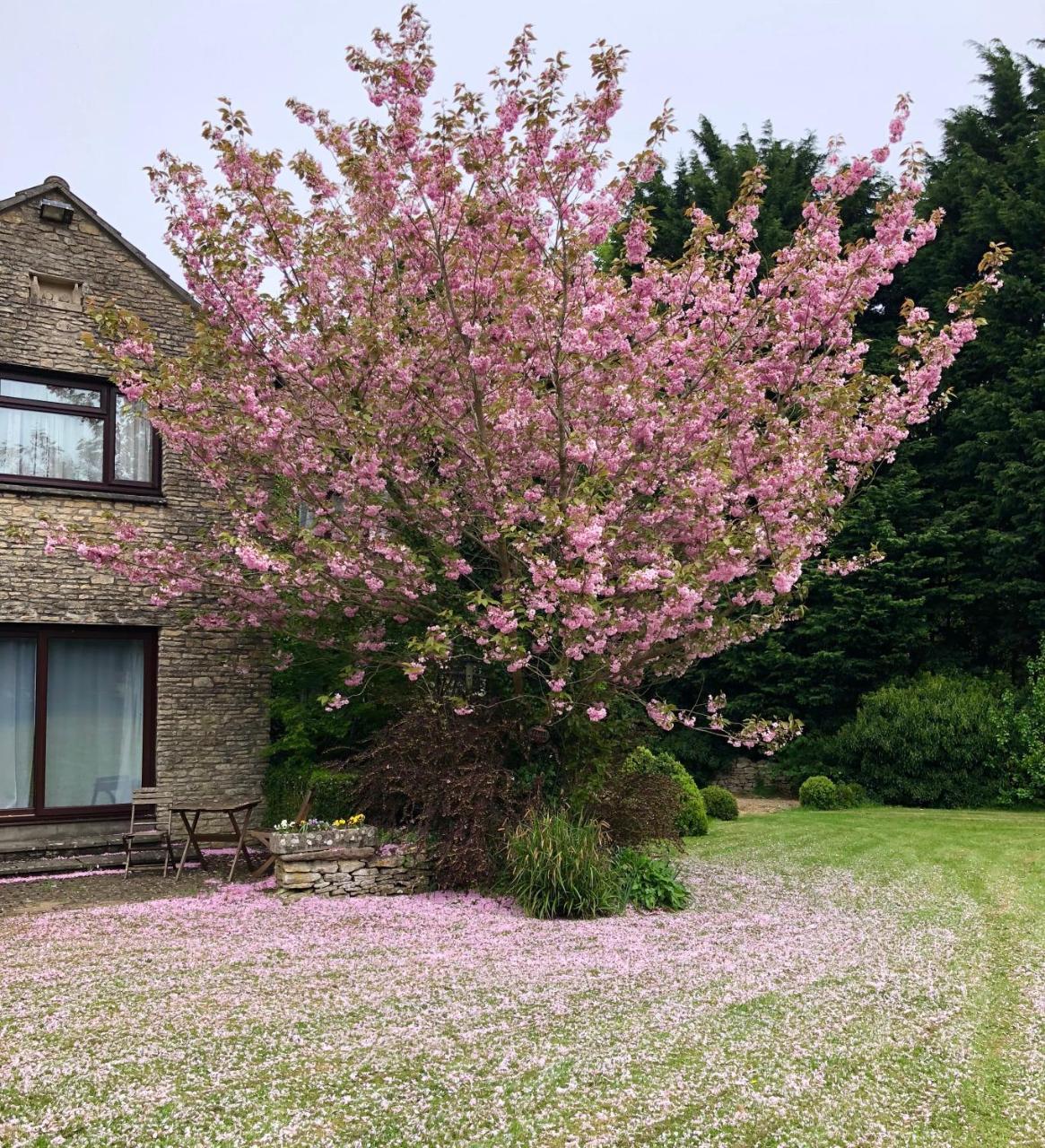 Best Western Compass Inn Tormarton Kültér fotó